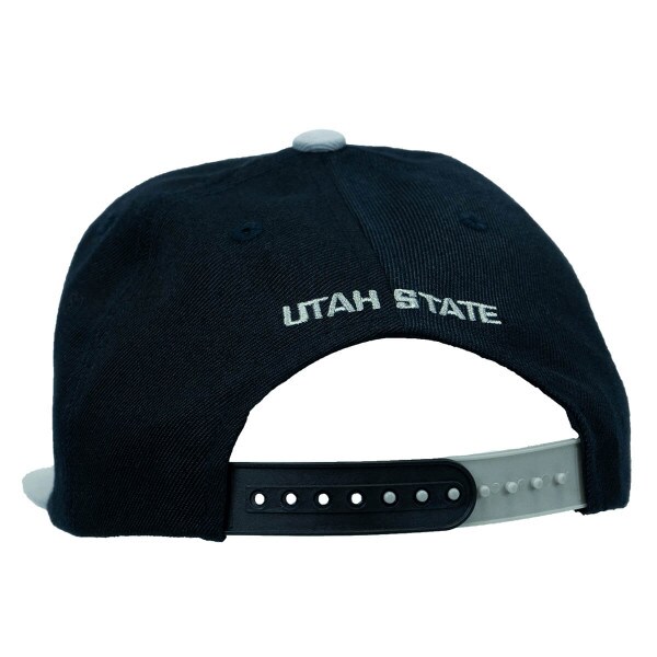 Big Blue Peeking Flat Brim Snapback Youth Hat